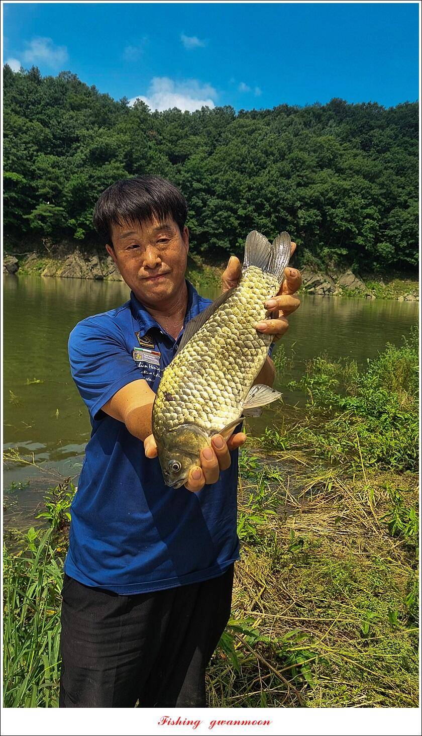 한버들 4 짜 2 수신리 4 짜명서 4 짜 및 충주호 노지 현황 (조황조행기 - 특파원조황)