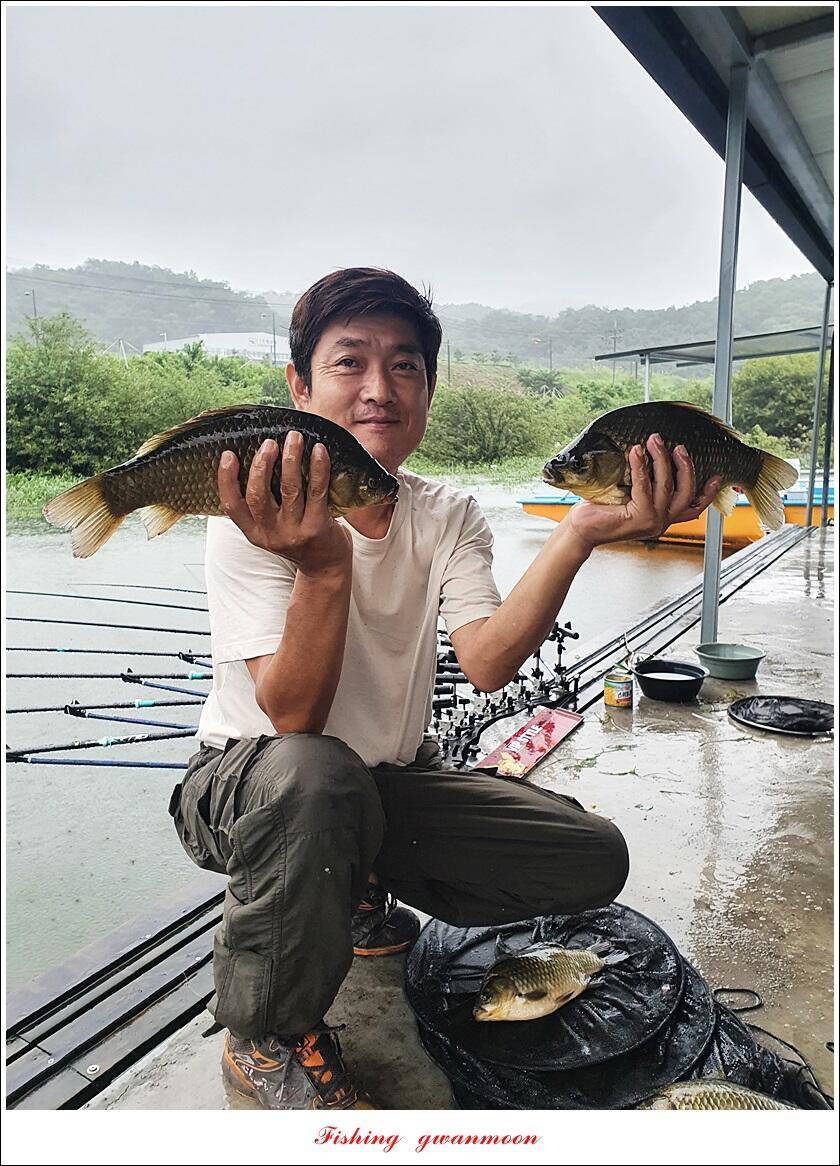 화곡지 4 짜목벌 4 짜한버들 4 짜사오리 4 짜 대물 조황 (조황조행기 - 특파원조황)