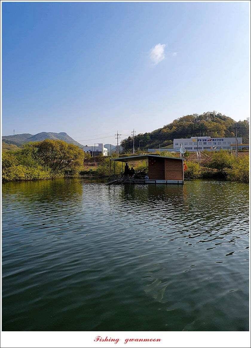 제일 낚시터 435 cm37 cm화곡지 사짜 대물 소류지 탐사 (조황조행기 - 특파원조황)
