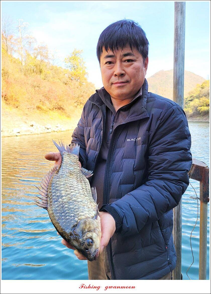 목벌 42 cm신리 41 cm408 cm실리곡 39 cm38 cm대물 조황 (조황조행기 - 특파원조황)