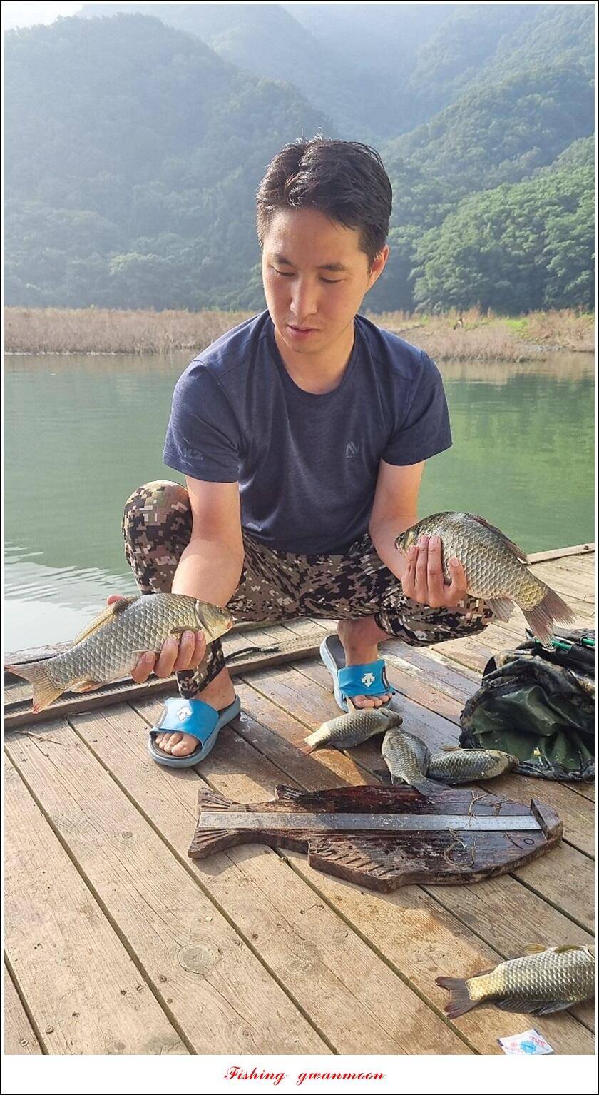 문골 42 cm명서 40 cm 달천강화곡지 조황 (조황조행기 - 특파원조황)