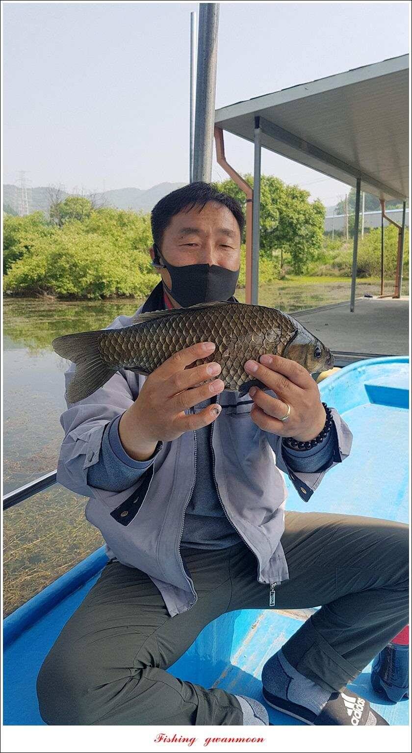 추평지 47 cm화곡지칠성지 조항 (조황조행기 - 특파원조황)