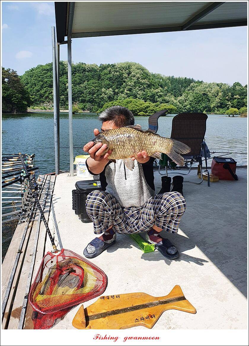 목벌 43 cm37 cm소류지 4 짜솔 낚시터 월척화곡지 대물 조황 (조황조행기 - 특파원조황)