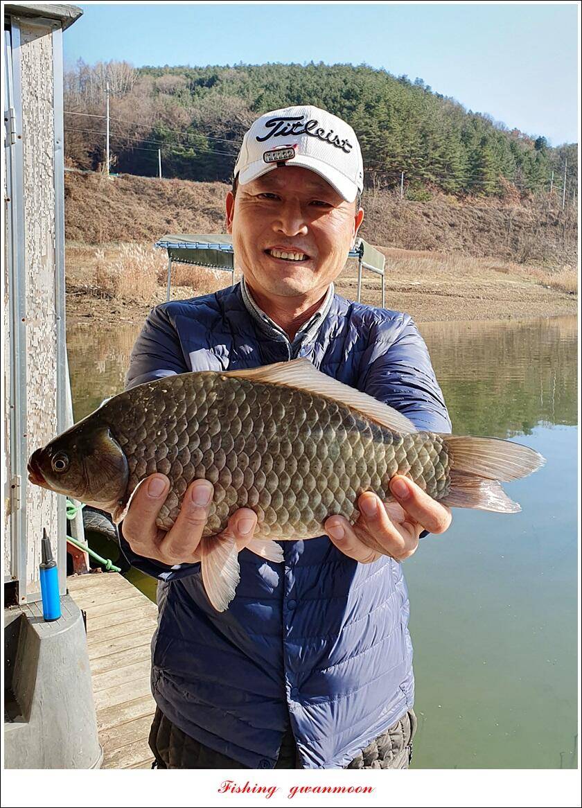 실리곡 4 짜신리 4 짜노지 4 짜 조황 (조황조행기 - 특파원조황)