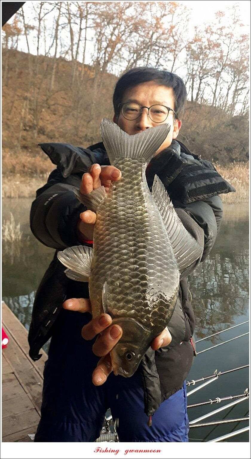 제일 413 cm39 cm365 cm돌감 38 cm 대물 조황 (조황조행기 - 특파원조황)