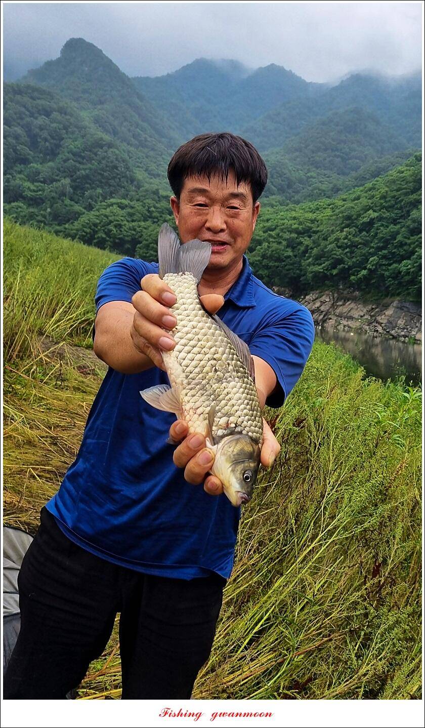 충주호 2 차 오름수위명서목벌화곡지 조황 (조황조행기 - 특파원조황)