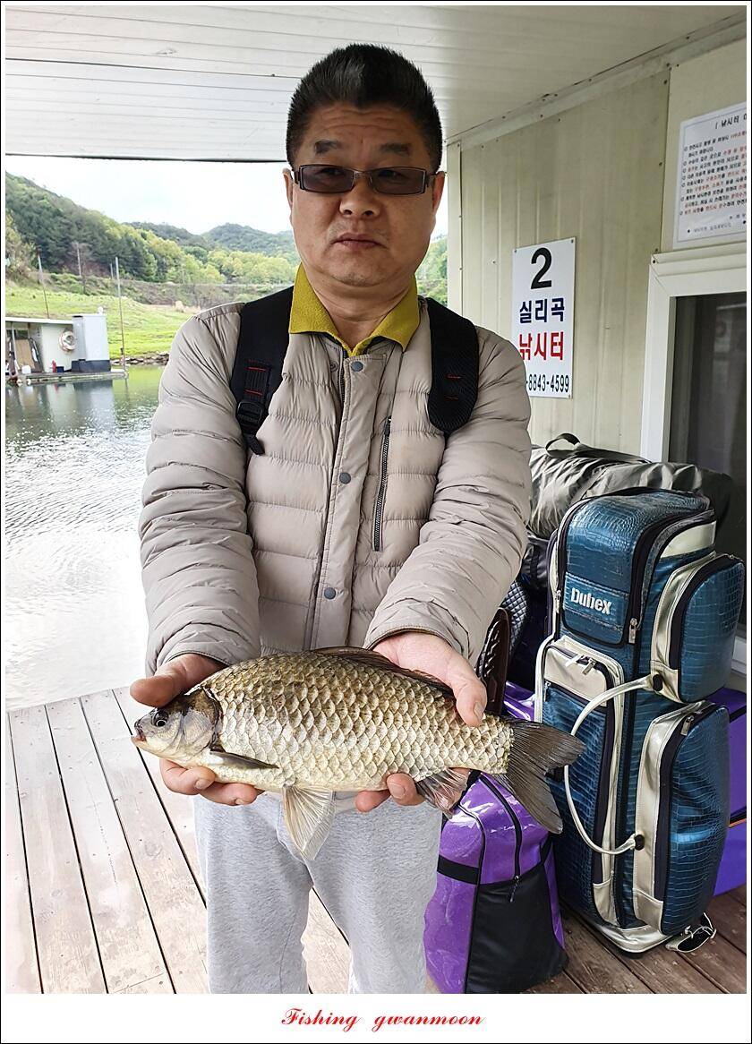 한버들 44 cm신리 415 cm41 cm실리곡 4 자돌감 4 짜화곡지 4 짜솔 37 cm 조황 정보 (조황조행기 - 특파원조황)