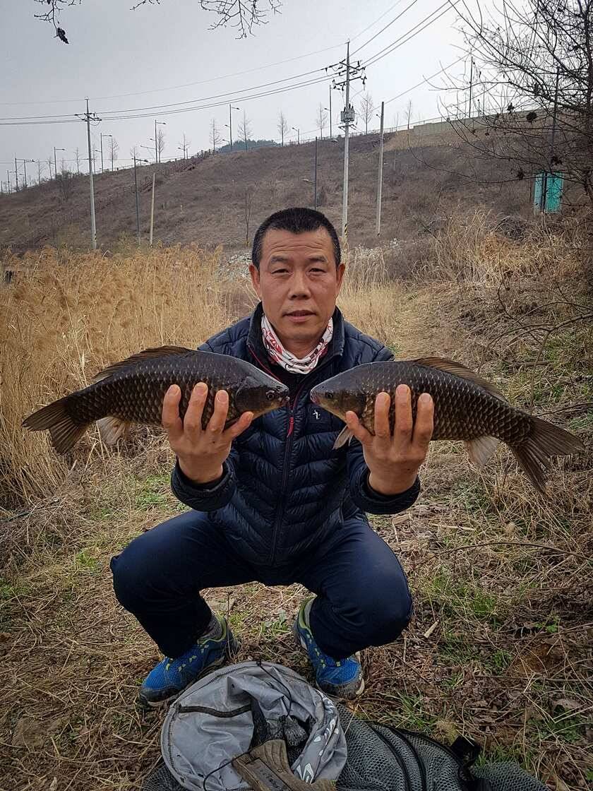 화곡지 4 짜 대박칠성지매전지 조황 (조황조행기 - 특파원조황)