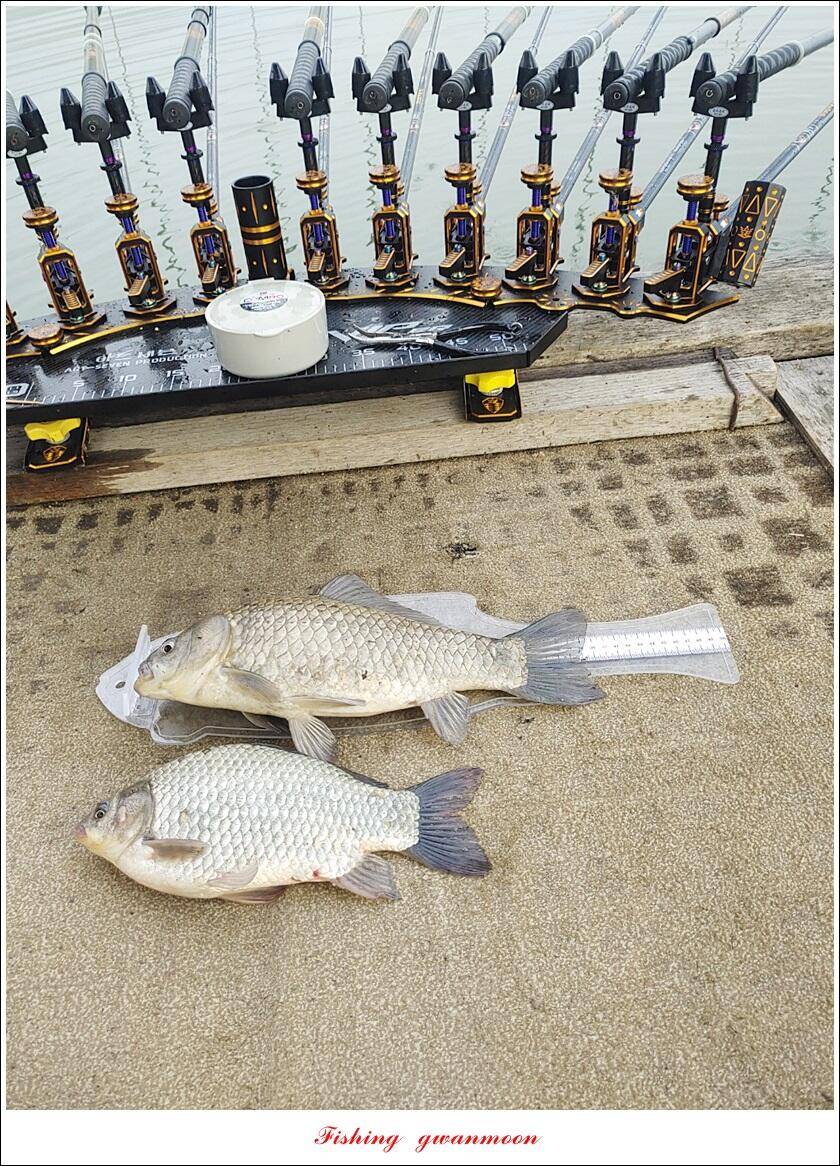 신리 44 cm실리곡 41 cm돌감 405 cm칠성지 대물 조황 (조황조행기 - 특파원조황)
