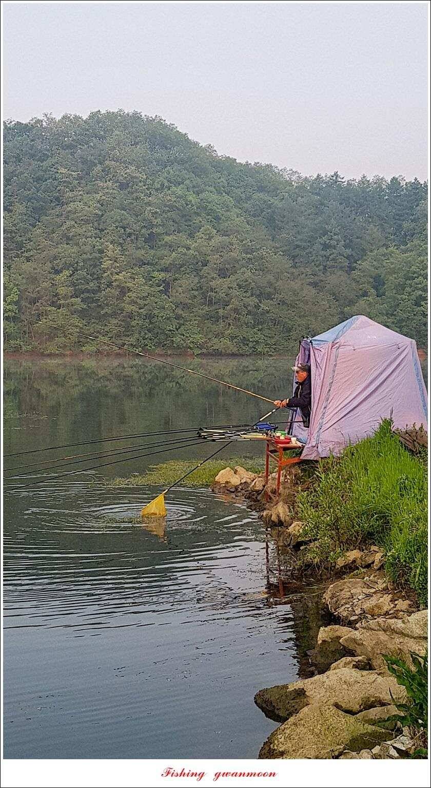 달천강화곡지 사짜칠성지 사짜 조황 (조황조행기 - 특파원조황)