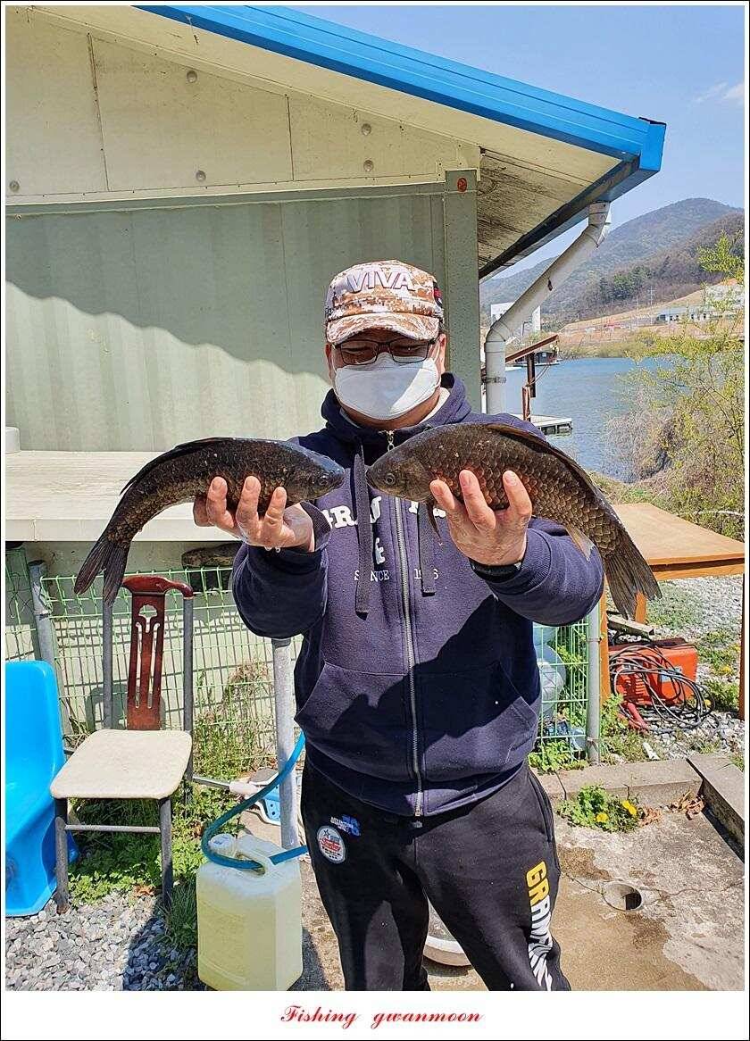 한버들 4 짜노지39 cm화곡지 사짜 조황 (조황조행기 - 특파원조황)