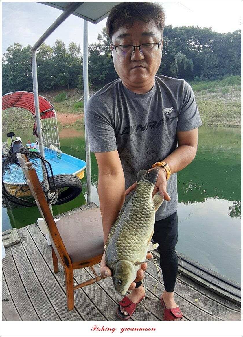 신매 44 cm 대물돌감 4 짜늘푸른제일 월척 조황 (조황조행기 - 특파원조황)