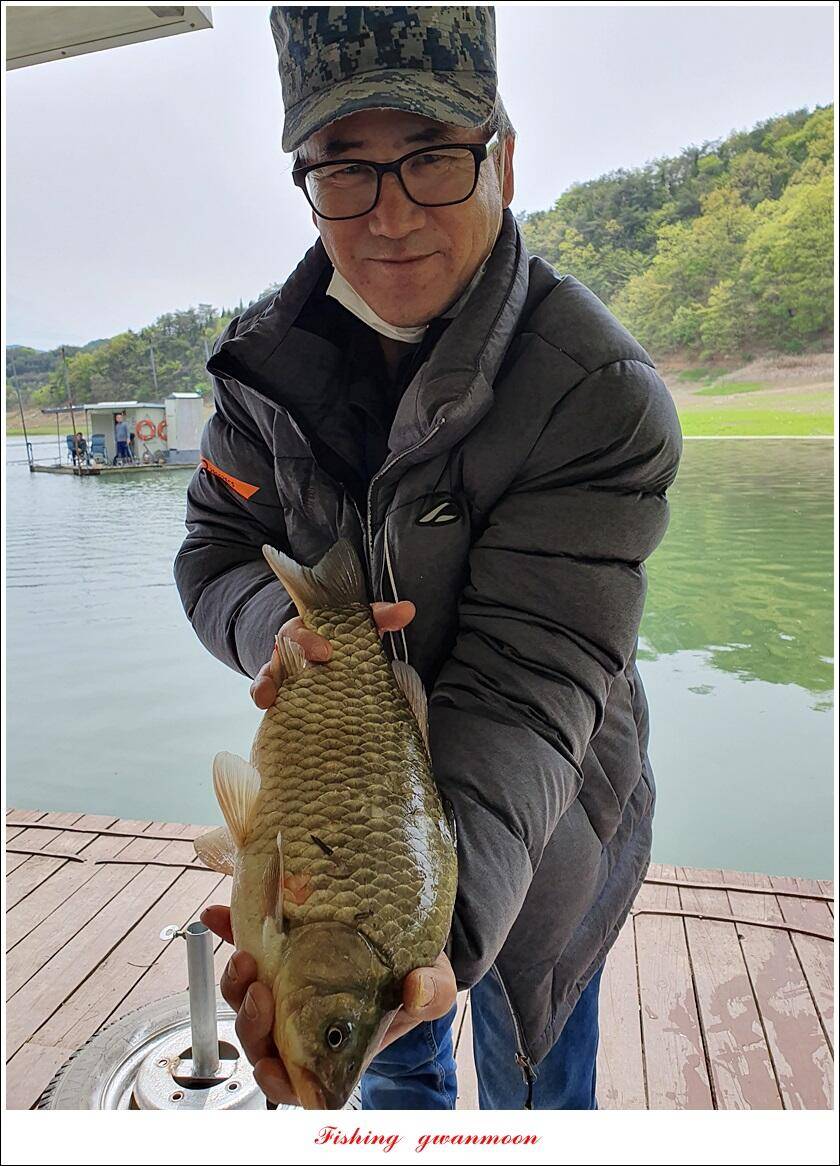 한버들 4 짜신리 4 짜실리곡 4 짜대물 조황 (조황조행기 - 특파원조황)