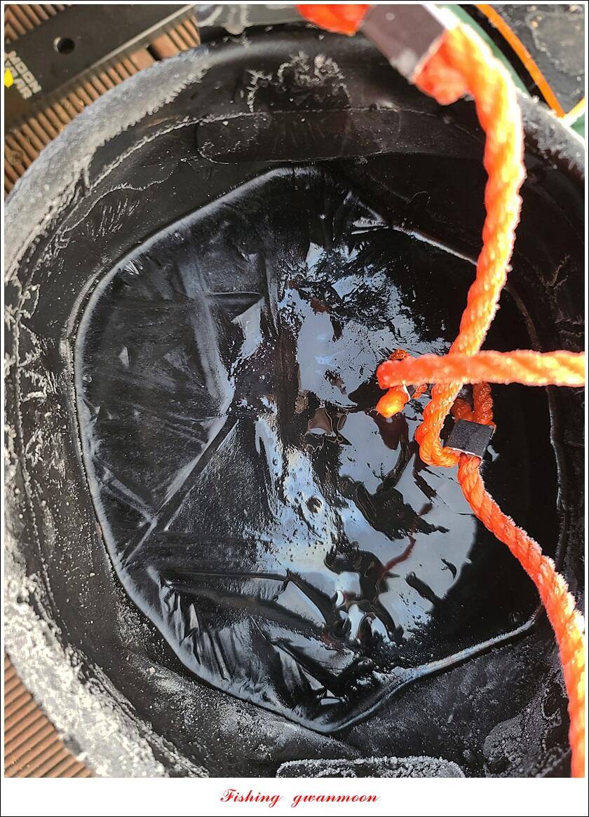 솔 39 cm32 cm돌감 34 cm 월척 조황 (조황조행기 - 특파원조황)