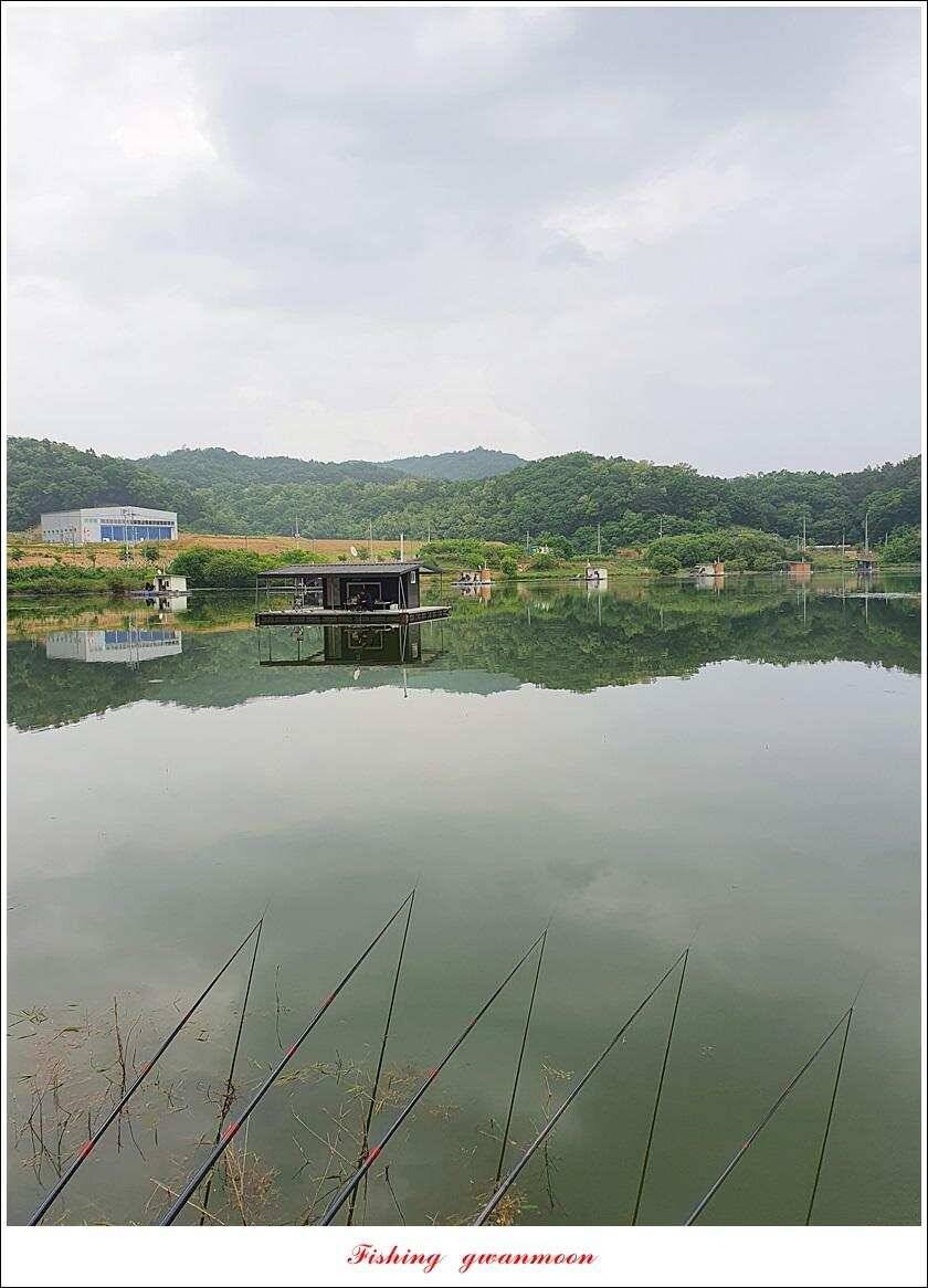 제일 4 짜돌감 39cm화곡지 대물 조황 (조황조행기 - 특파원조황)
