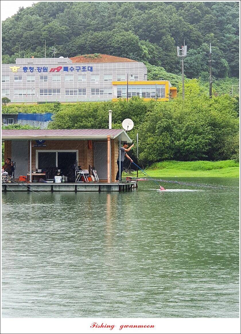 솔 4 짜 3 수화곡지 4 짜 마릿수 조황 (조황조행기 - 특파원조황)