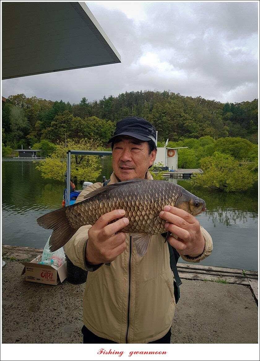화곡지 사짜칠성지달천강추평지 조황 (조황조행기 - 특파원조황)