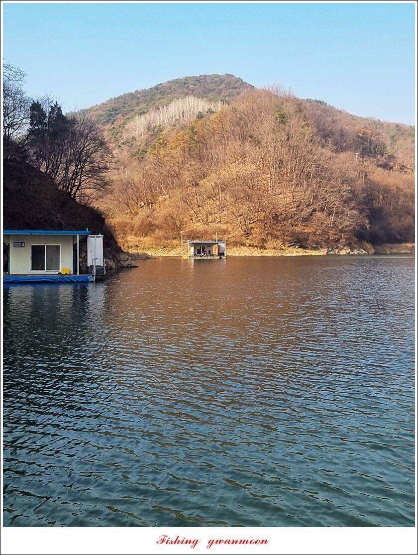 솔 38 cm36 cm사오리 38cm37 cm한버들 38 cm 및 월척 조황 (조황조행기 - 특파원조황)