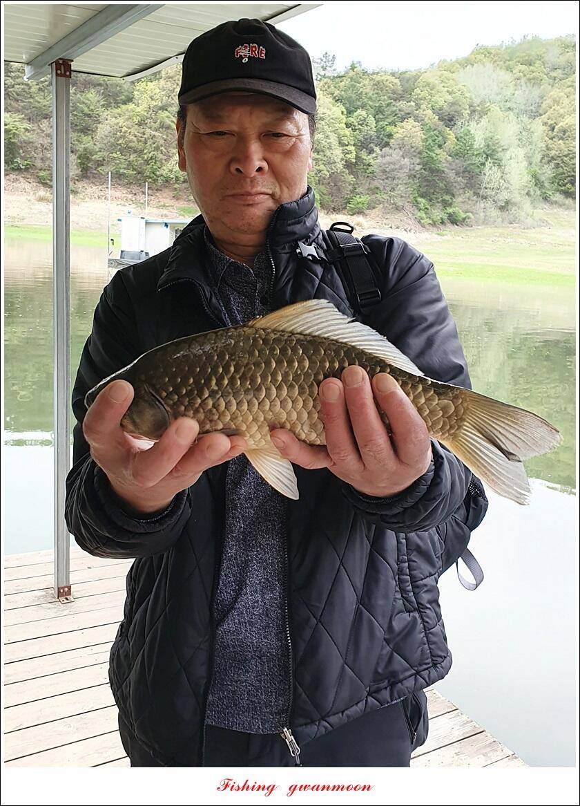 한버들 4 짜신리 4 짜실리곡 4 짜대물 조황 (조황조행기 - 특파원조황)