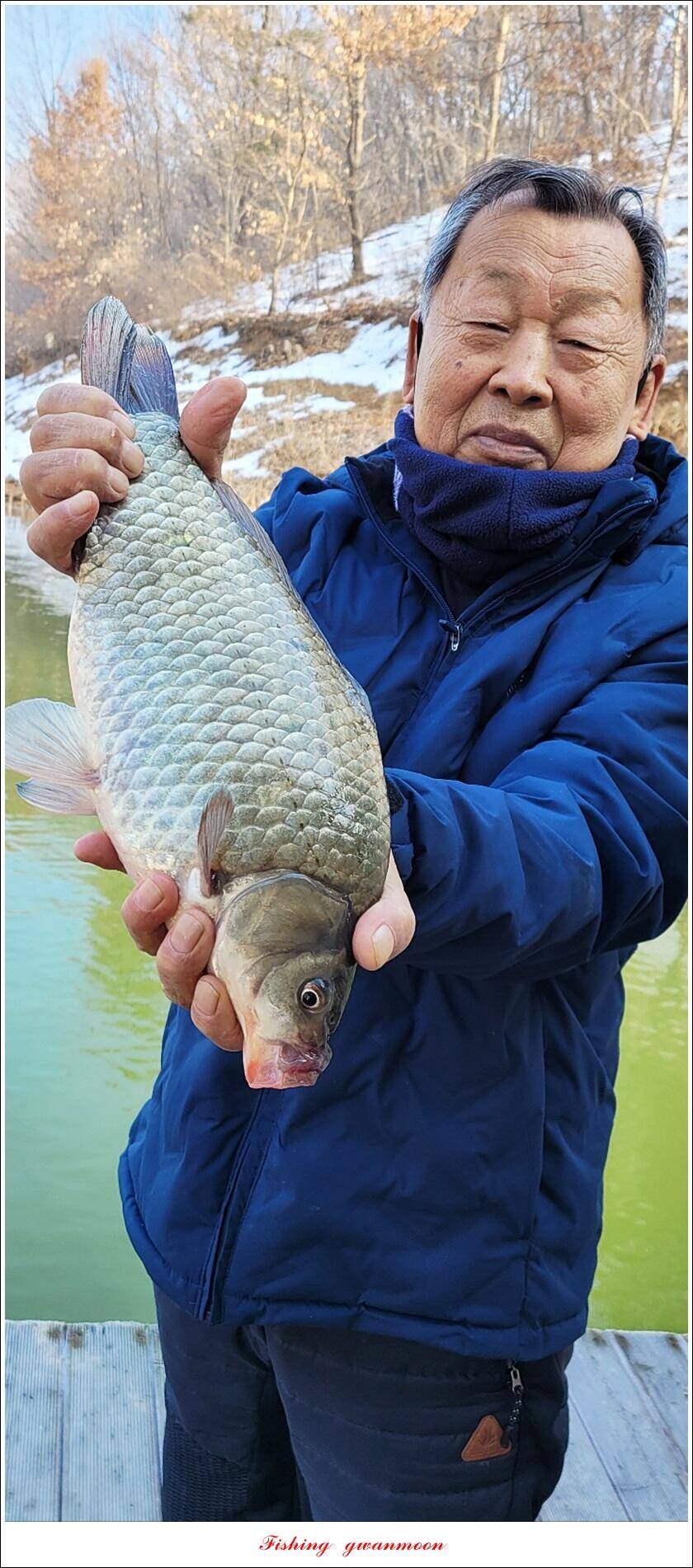 솔 4 짜신리 4 짜 대물 조황 (조황조행기 - 특파원조황)