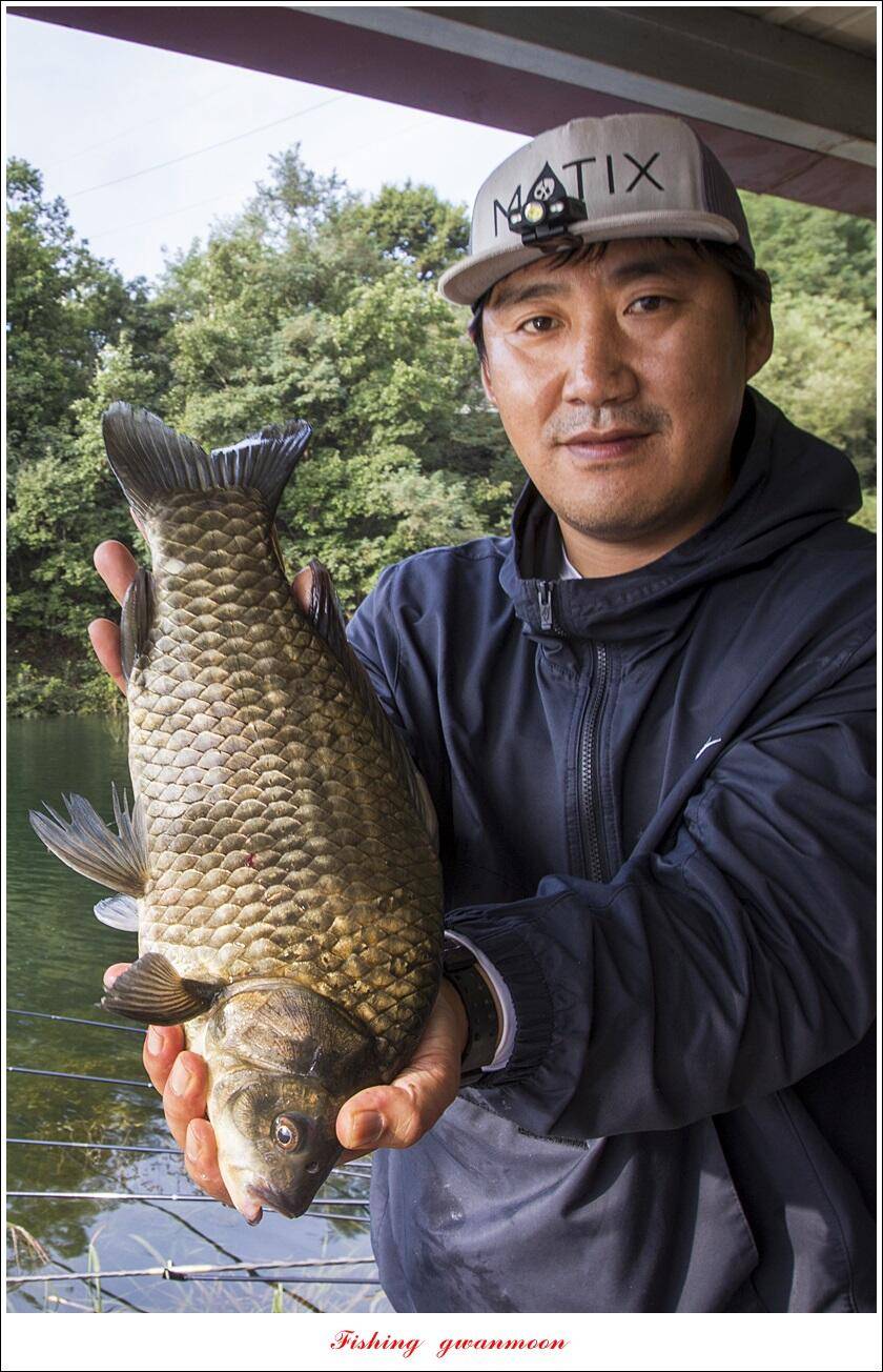 솔 435 cm 대물 및 월척 조황 (조황조행기 - 특파원조황)