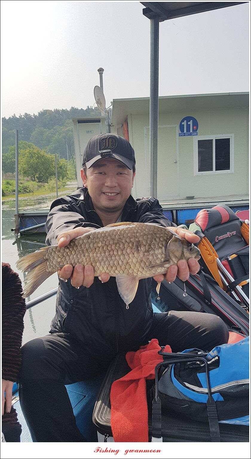 화곡지 사짜 마릿수칠성지 대물 조황 (조황조행기 - 특파원조황)