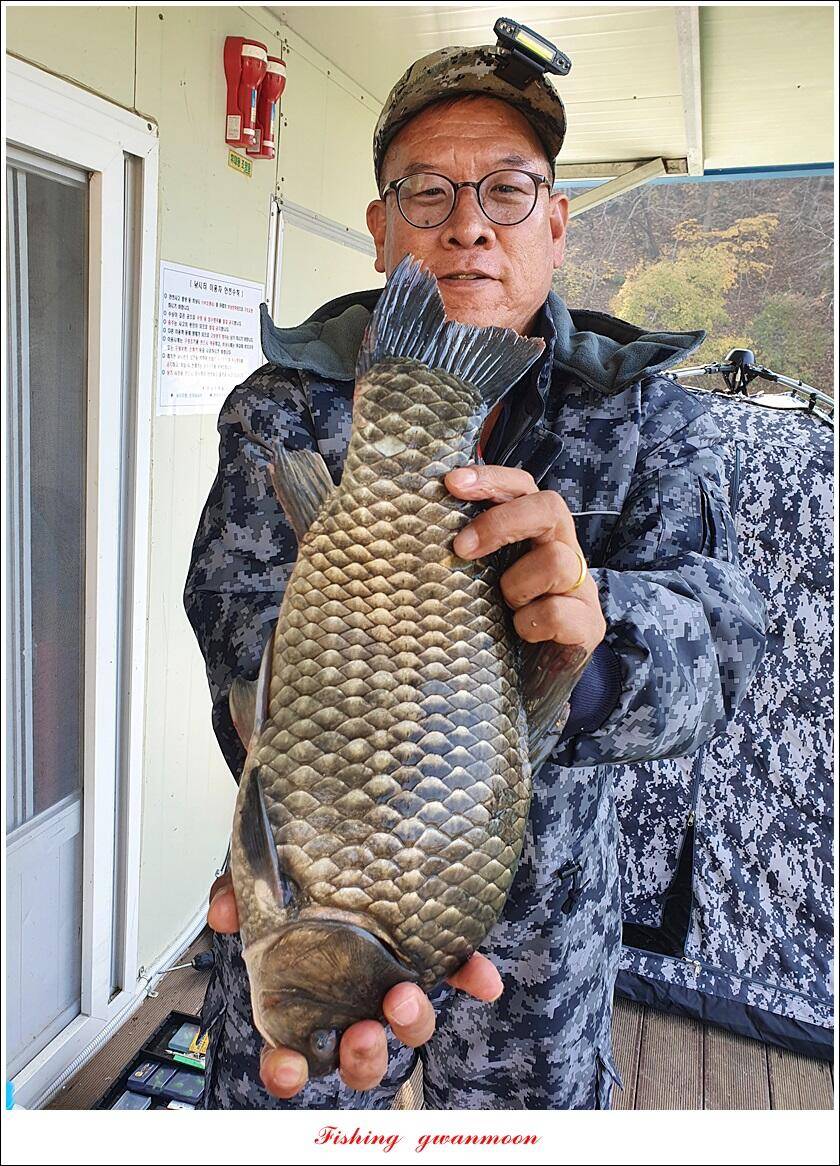 신리 47 cm한버들 415 cm실리곡 41 cm광월지 415 cm (조황조행기 - 특파원조황)