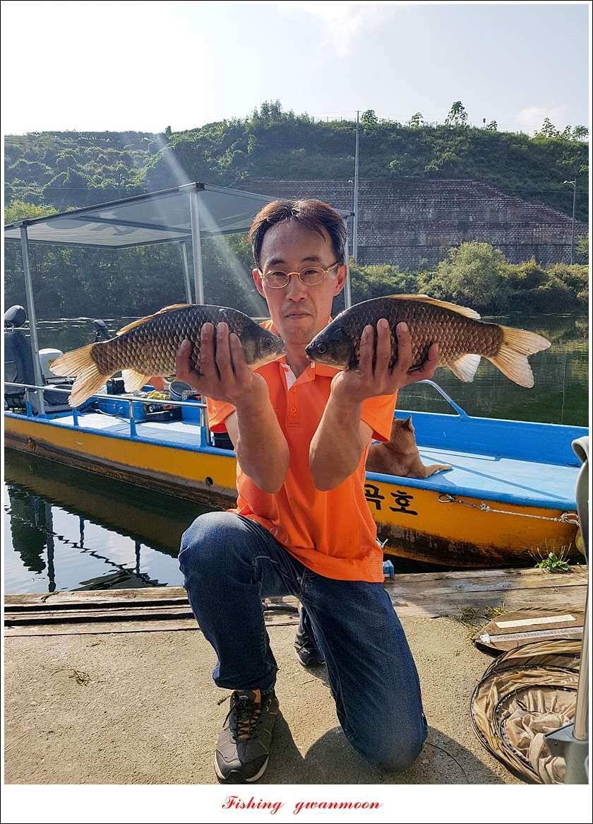 청풍 신리 사짜실리곡제일화곡지 사짜 조황 (조황조행기 - 특파원조황)