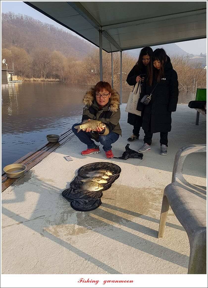 화곡지 사짜 및 마릿수 월척 칠성지 조황 (조황조행기 - 특파원조황)