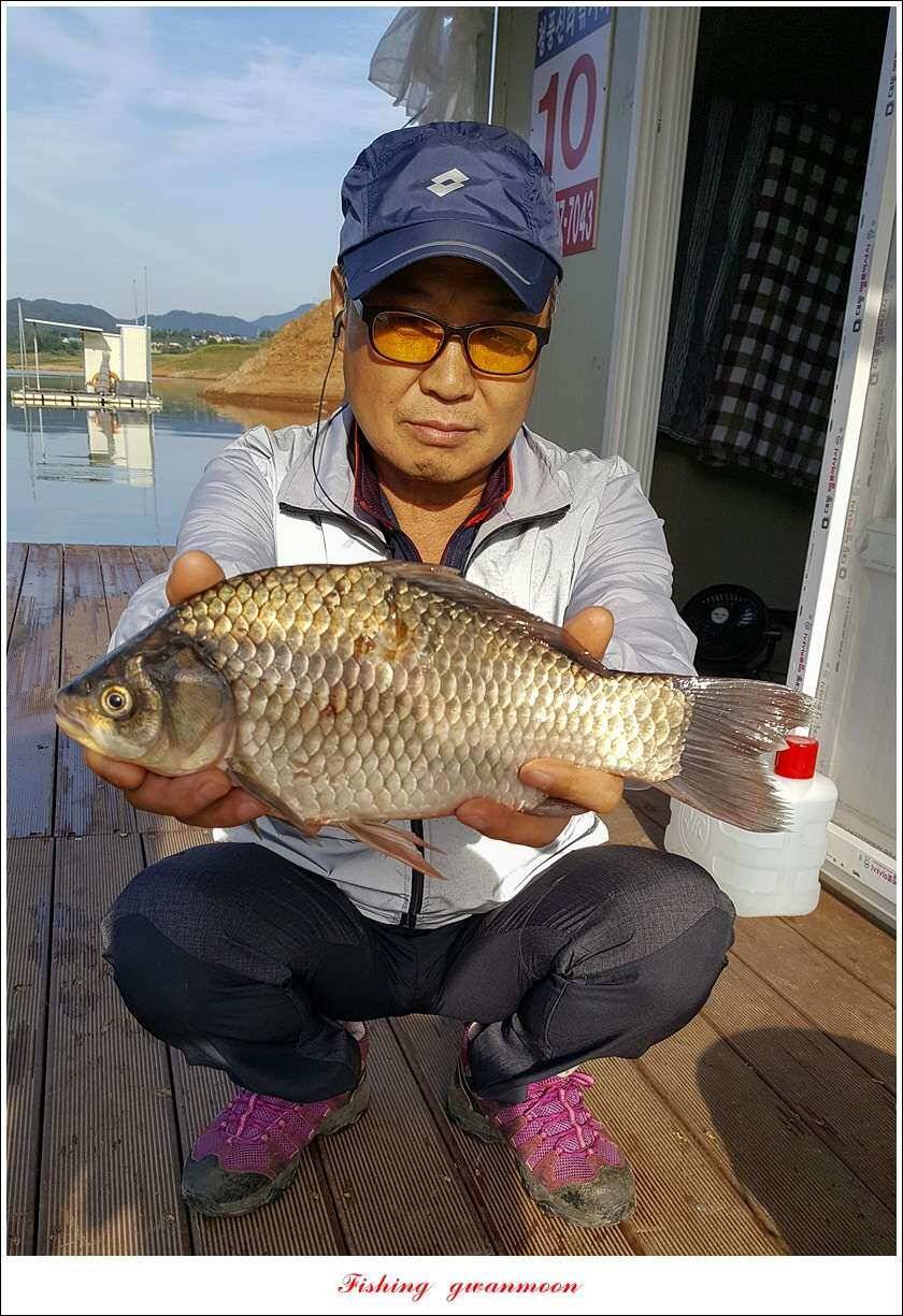 청풍 신리 월척 및 마릿수 조황돌감좌대 육초 작업 (조황조행기 - 특파원조황)