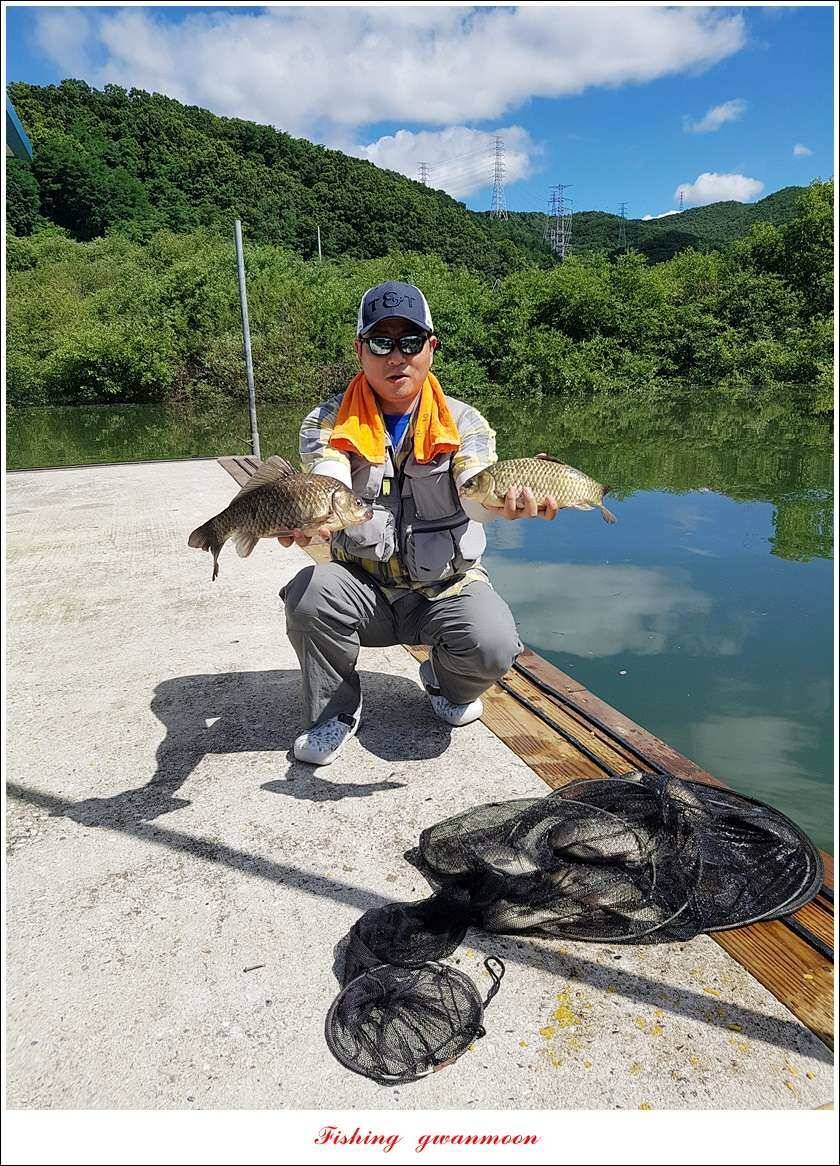 신매 42 cm돌감신리실리곡제일화곡지 조황 (조황조행기 - 특파원조황)