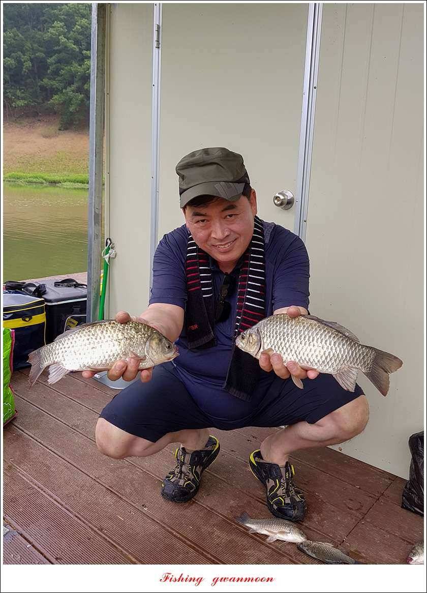 청풍 신리실리곡 월척 및 마릿수 조황 (조황조행기 - 특파원조황)