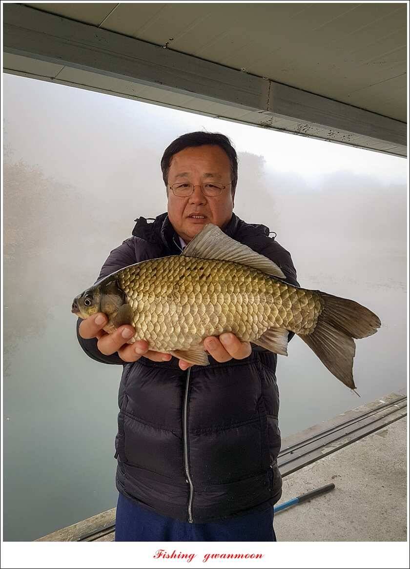 화곡지 사짜 및 조황 소식 (조황조행기 - 특파원조황)