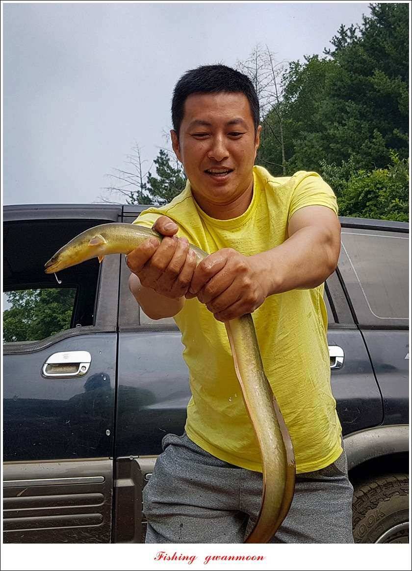 신매 42 cm 외 충주호 조황 (조황조행기 - 특파원조황)