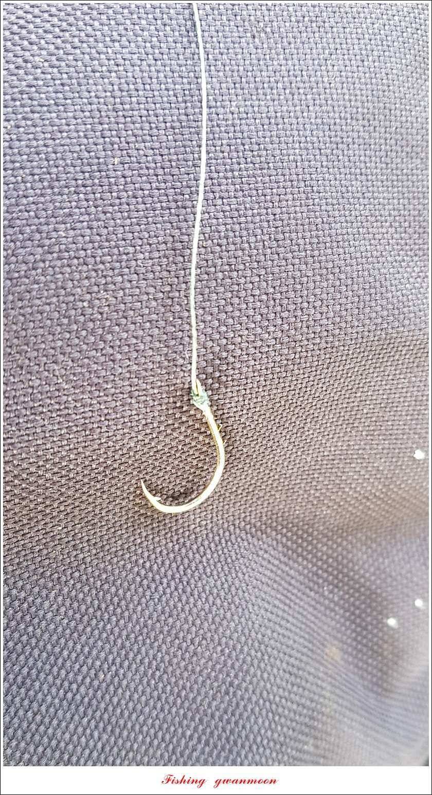 청풍신리실리곡제일 조황 (조황조행기 - 특파원조황)