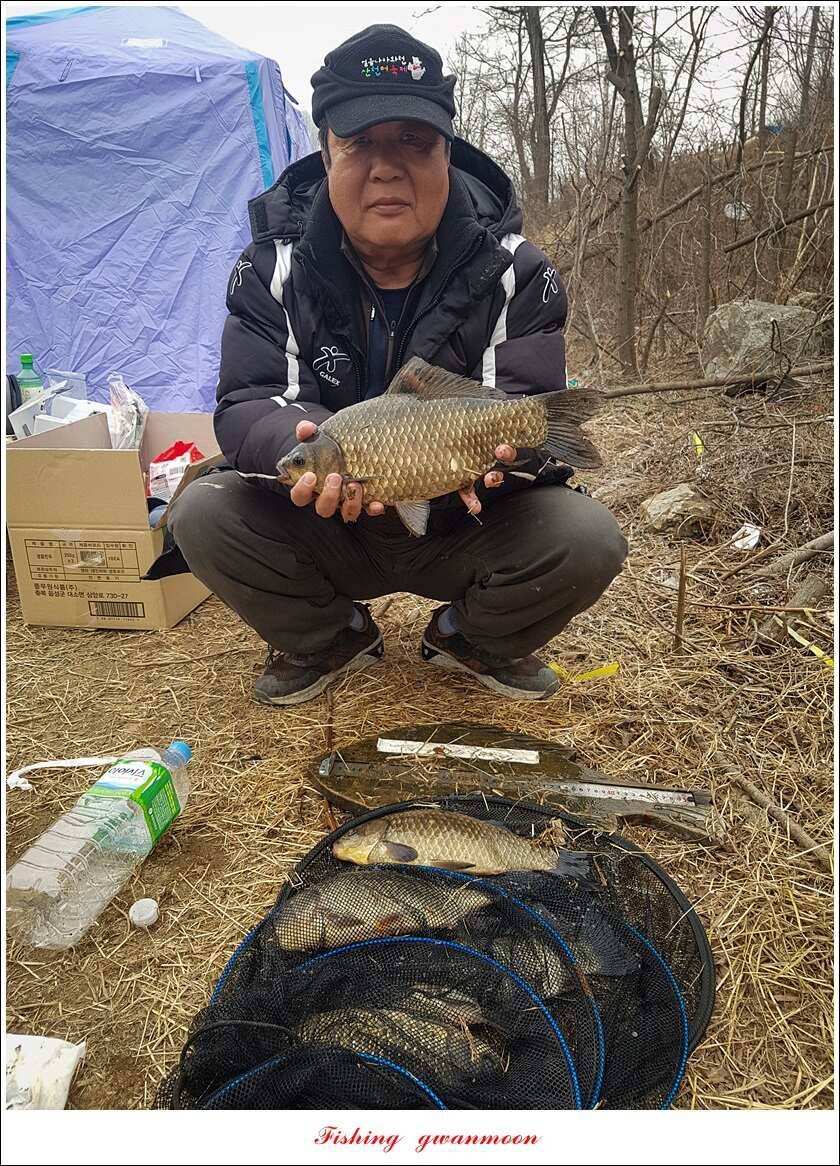 화곡지 사짜 및 마릿수 월척 조황 (조황조행기 - 특파원조황)
