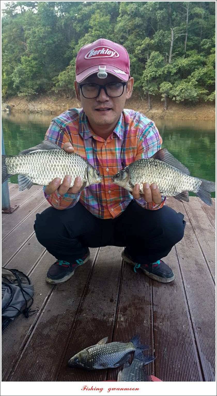 청풍신리실리곡제일 조황 (조황조행기 - 특파원조황)