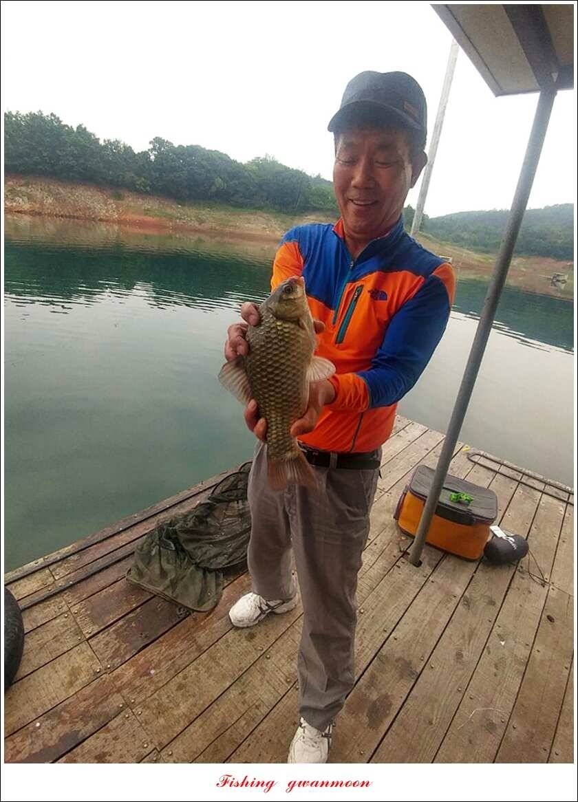 청풍 신리돌감 좌대 월척 조황 추평지 소식 (조황조행기 - 특파원조황)