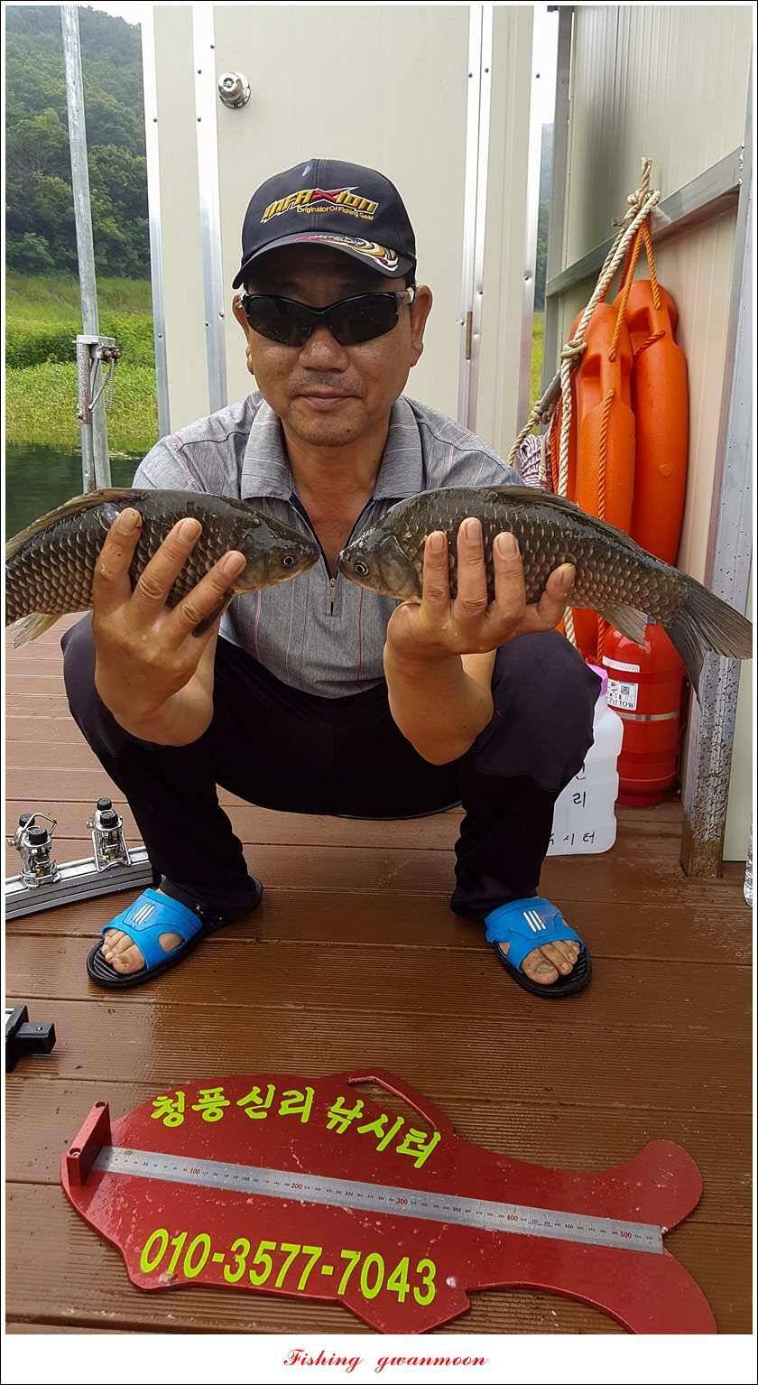 신매 42 cm 혹부리 대물돌감신리실리곡 월척 조황 (조황조행기 - 특파원조황)