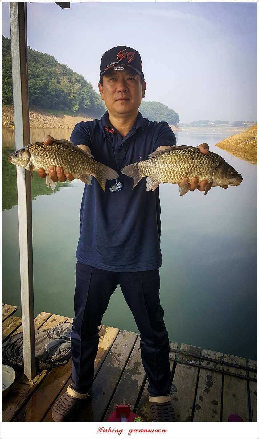 청풍 신리돌감 좌대 월척 조황 추평지 소식 (조황조행기 - 특파원조황)