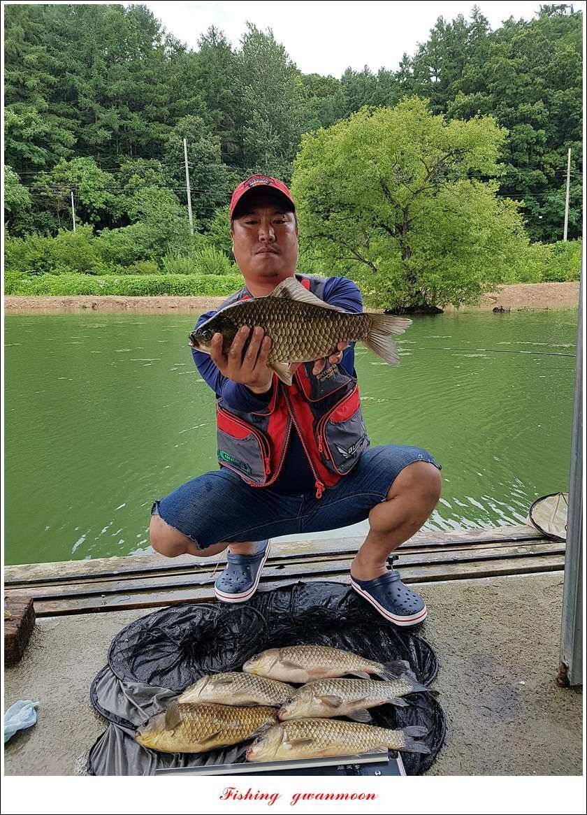 실리곡 43 cm신리 월척화곡지 호조황 (조황조행기 - 특파원조황)