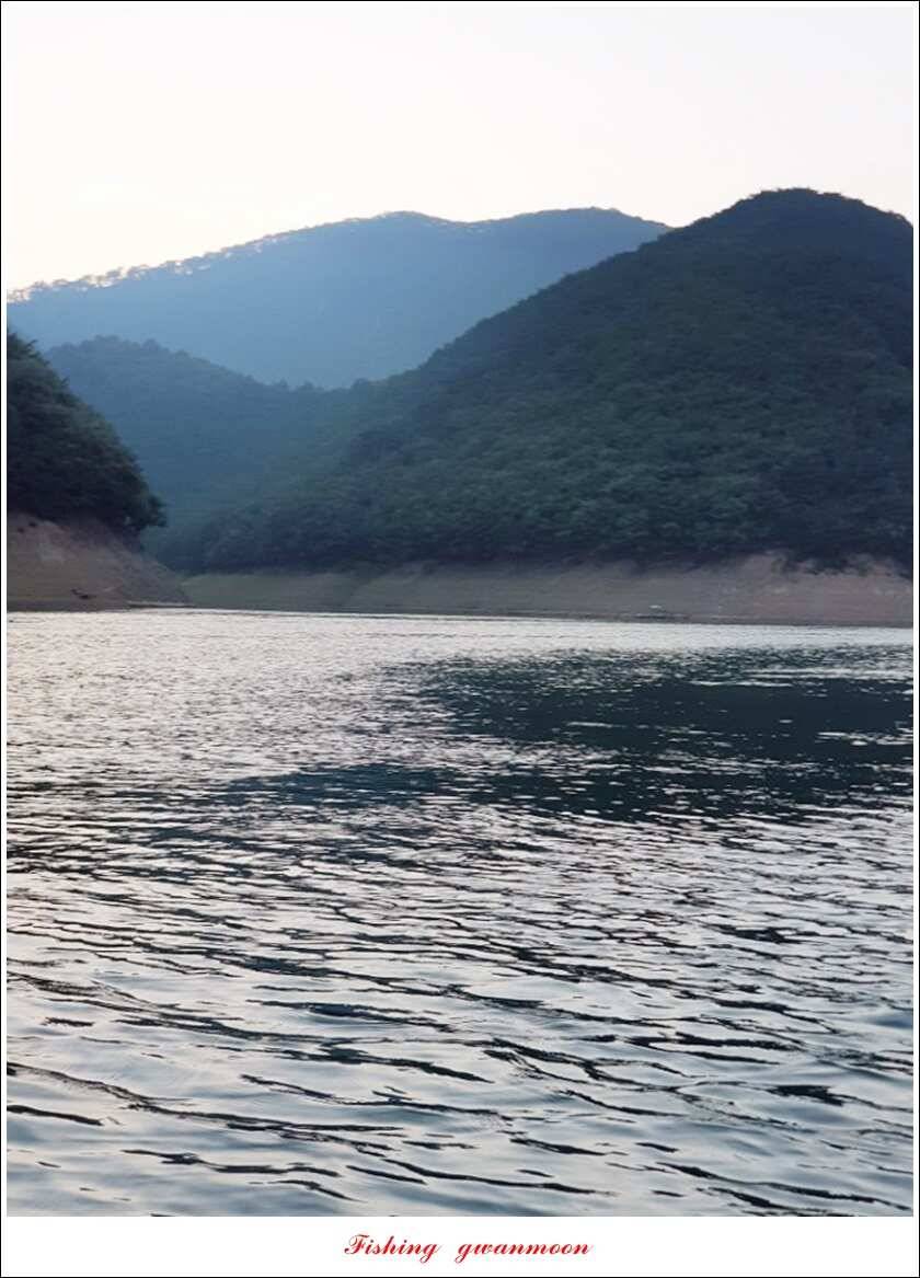 칠성지화곡지서유석 장어실리곡신리 월척 및 마릿수 조황 (조황조행기 - 특파원조황)