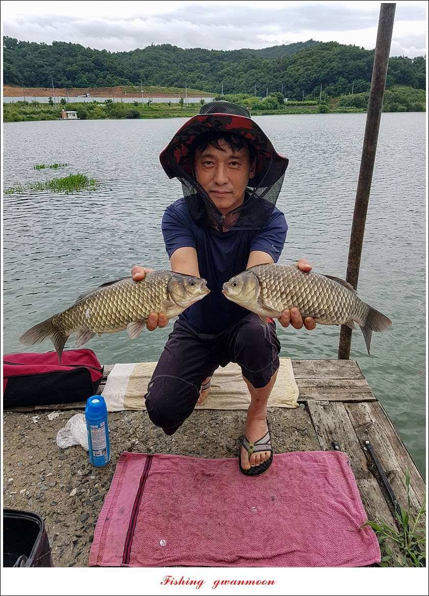 실리곡 43 cm신리 월척화곡지 호조황 (조황조행기 - 특파원조황)