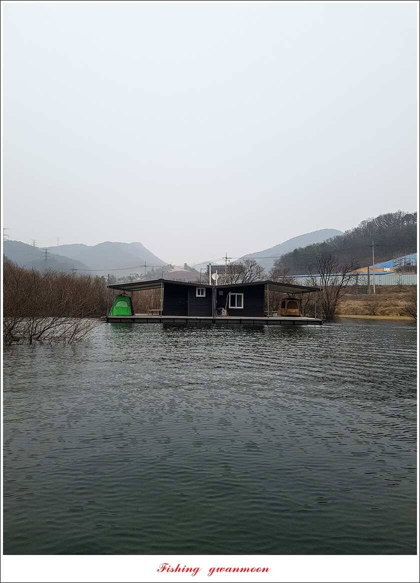 화곡지 사짜 및 마릿수 월척 조황 (조황조행기 - 특파원조황)