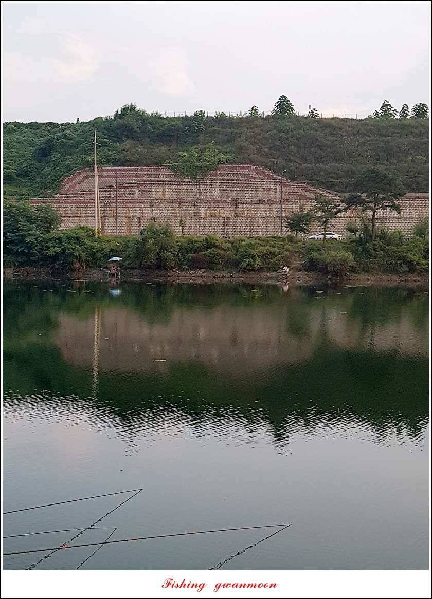 칠성지화곡지서유석 장어실리곡신리 월척 및 마릿수 조황 (조황조행기 - 특파원조황)