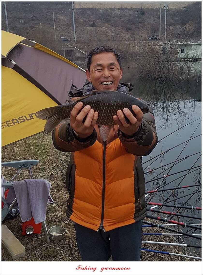 화곡지 사짜 및 마릿수 월척 칠성지 조황 (조황조행기 - 특파원조황)
