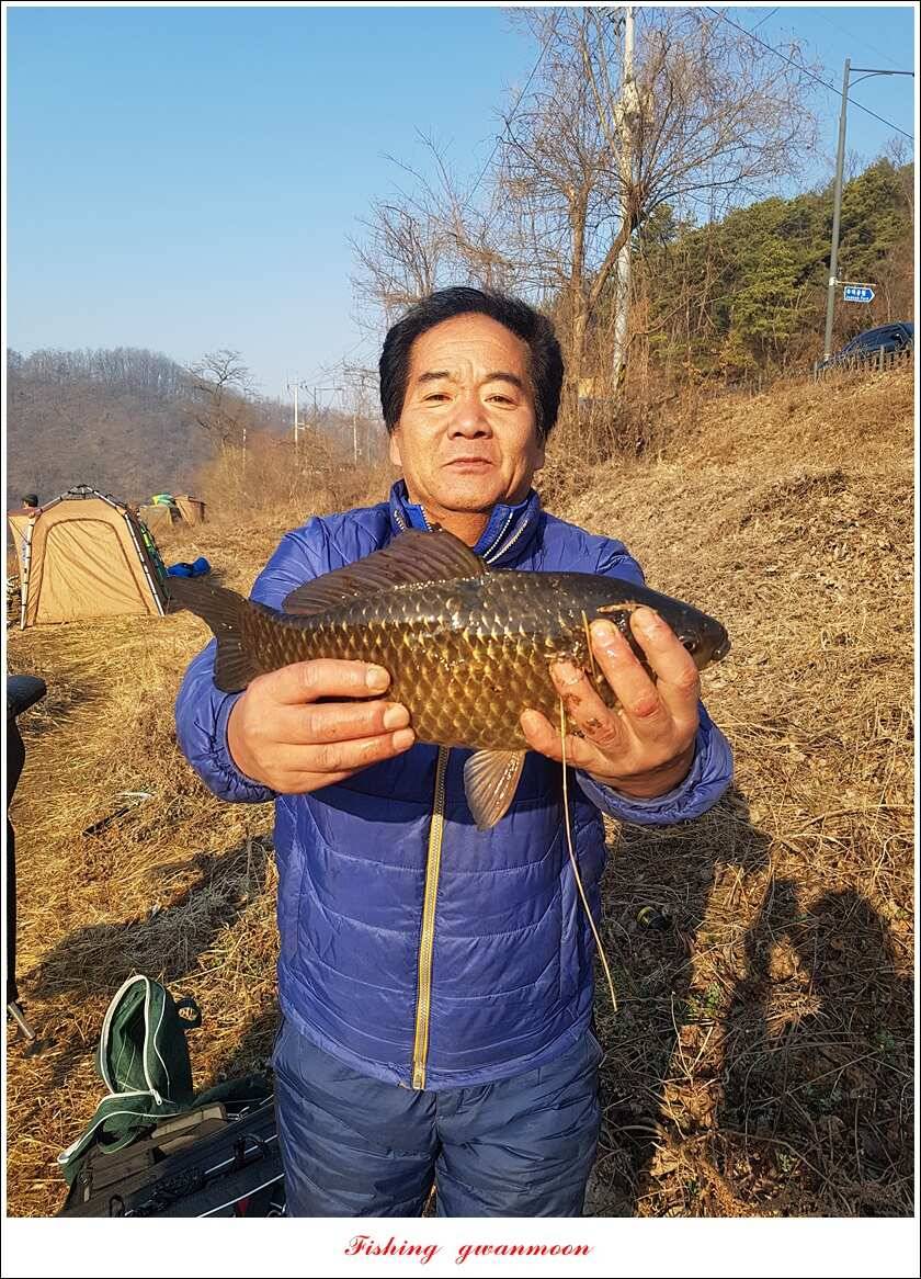 화곡지 사짜 및 마릿수 월척 조황 (조황조행기 - 특파원조황)
