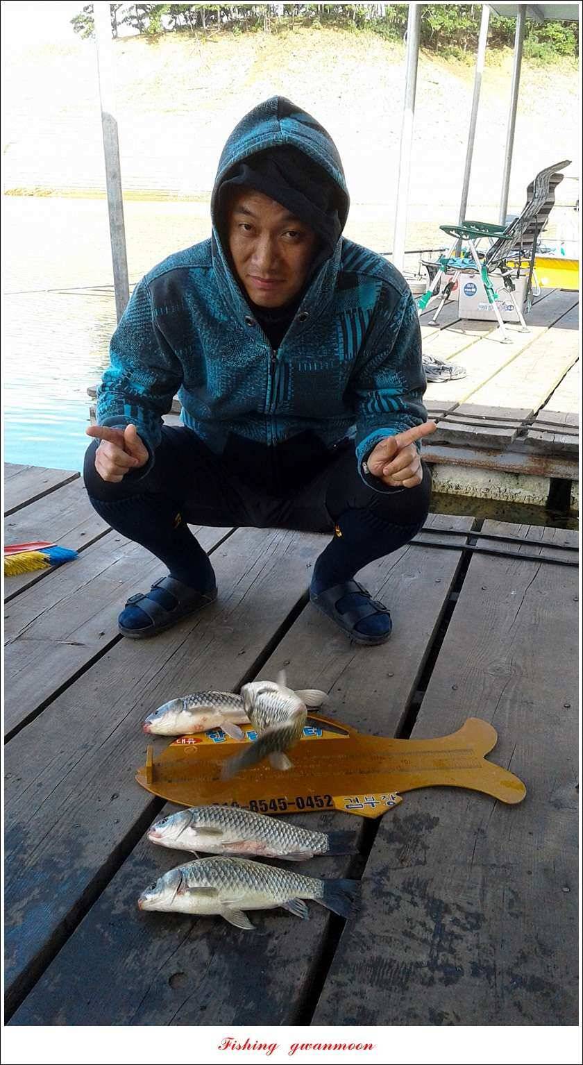 늘푸른한버들화곡지 조황 (조황조행기 - 특파원조황)