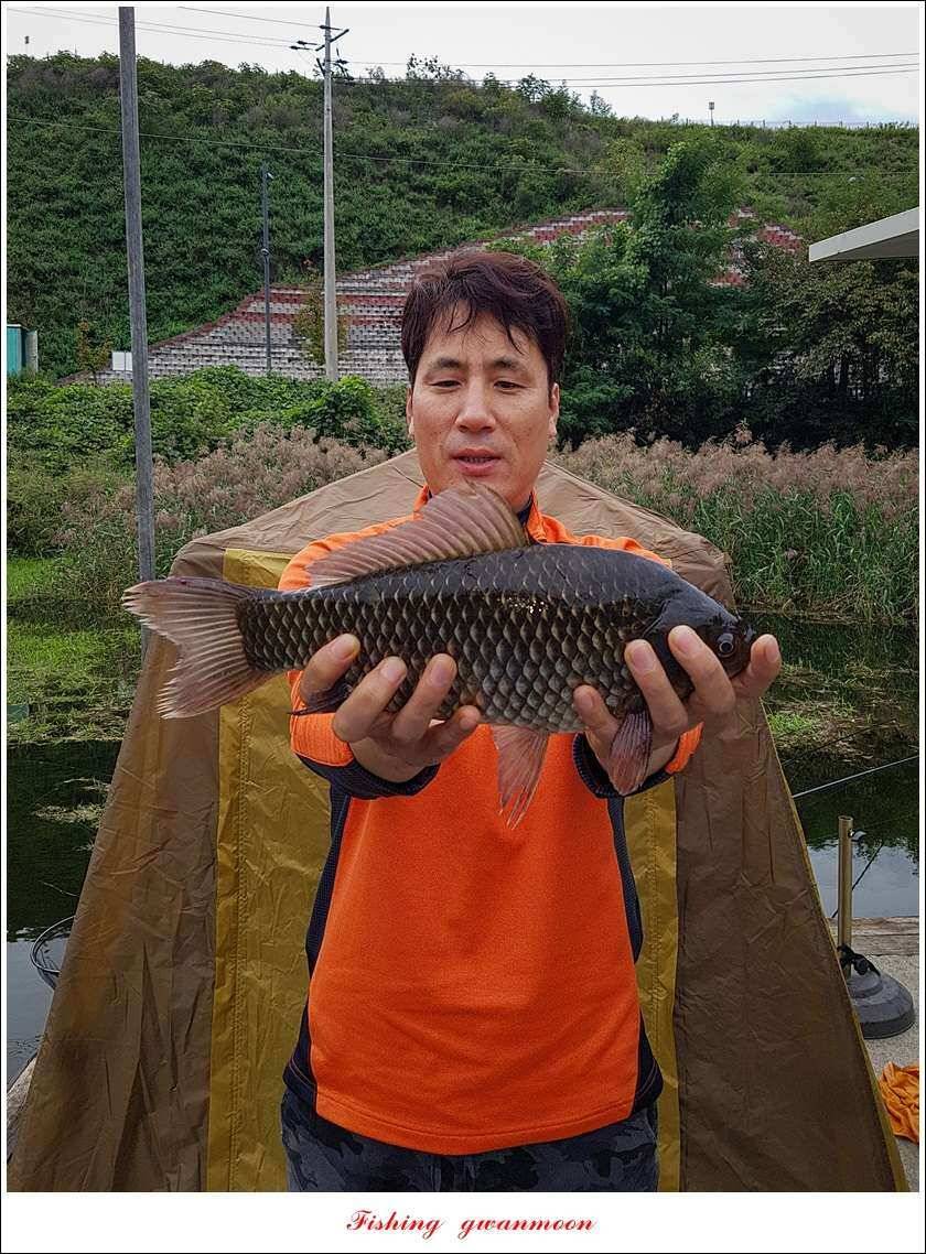 청풍 신리 사짜실리곡제일화곡지 사짜 조황 (조황조행기 - 특파원조황)