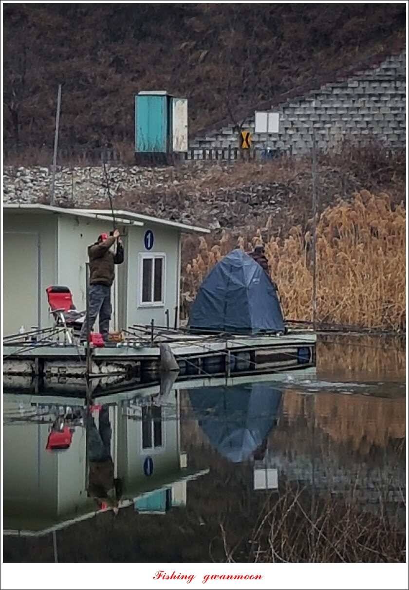 화곡지 사짜 및 마릿수 월척 조황 (조황조행기 - 특파원조황)